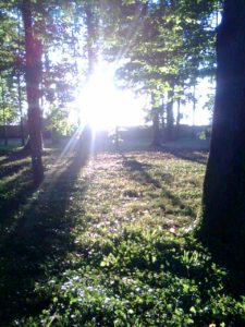 Photo0409