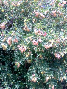 Photo0486